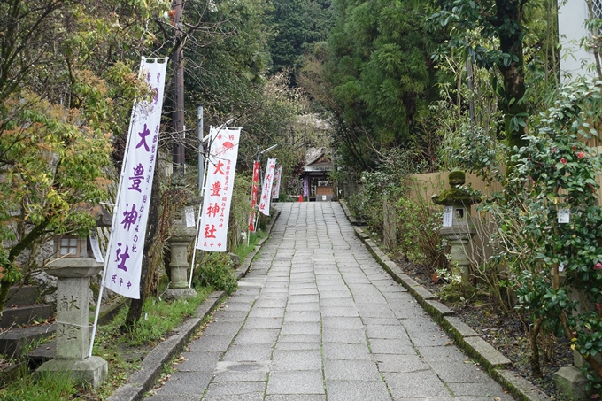 京都_桜_2020_19　大豊神社　No4