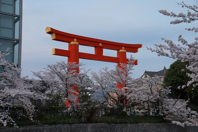 京都_桜_2020_37　岡崎疎水ライトアップ　No8