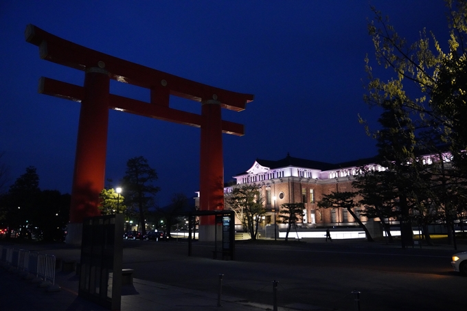 京都_桜_2020_37　岡崎疎水ライトアップ　No51