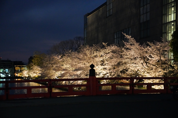 京都_桜_2020_37　岡崎疎水ライトアップ　No57