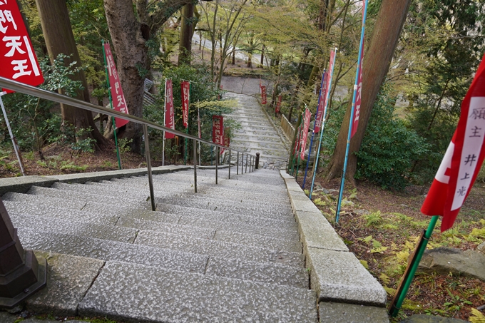 京都_桜_2020_40　毘沙門堂　No15