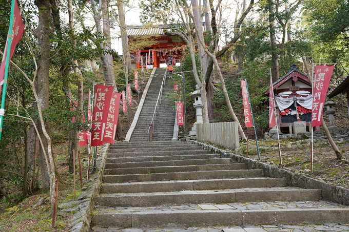 京都_桜_2020_40　毘沙門堂　No23