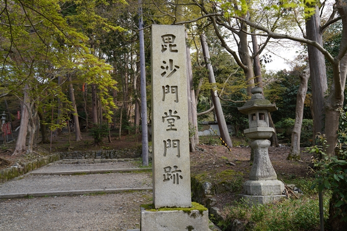 京都_桜_2020_40　毘沙門堂　No24