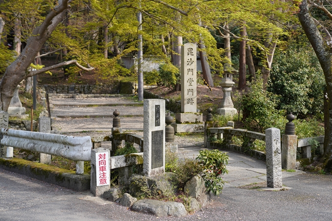 京都_桜_2020_41　No2