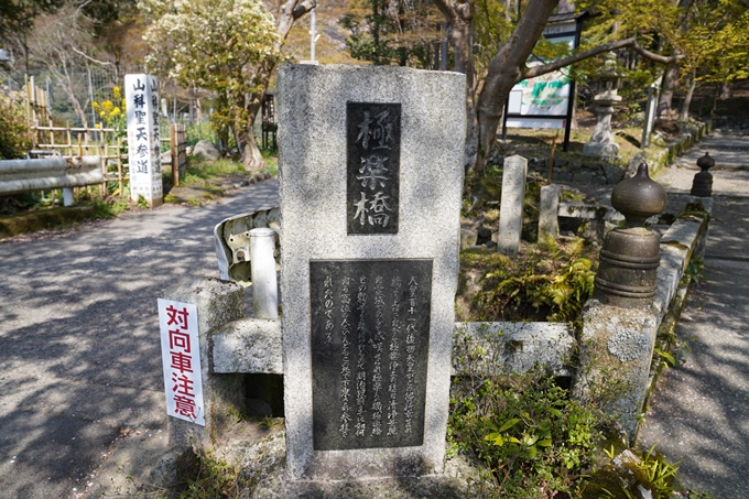 京都_桜_2020_41　No56