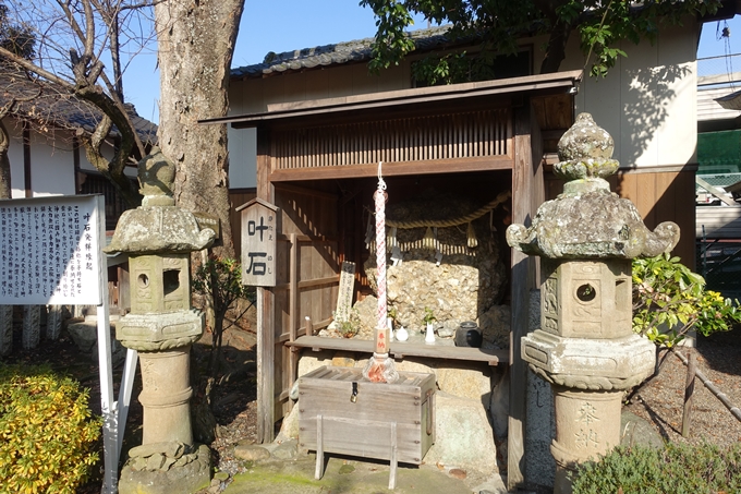 麒麟がくる_御霊神社　No28