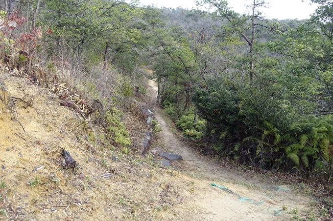 番外編 岡山県 鬼城山　No63