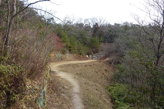 番外編 岡山県 鬼城山　No64