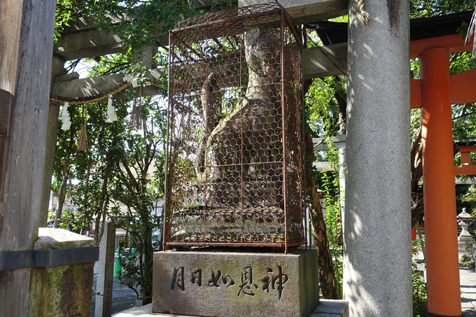 武信稲荷神社　No49