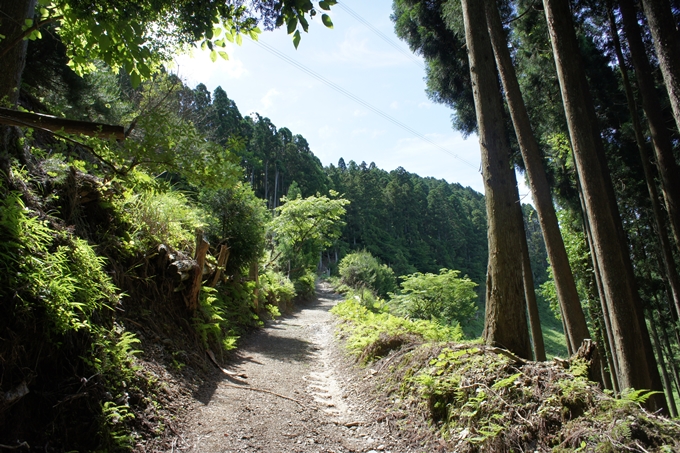 竜ヶ岳_サカサマ峠　No15