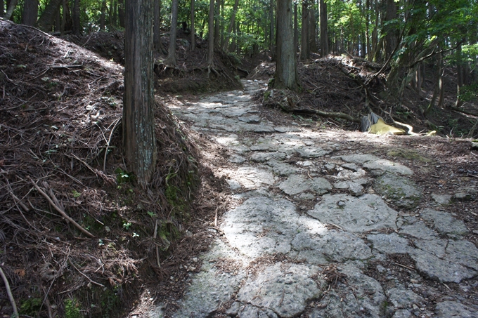 竜ヶ岳_サカサマ峠　No19