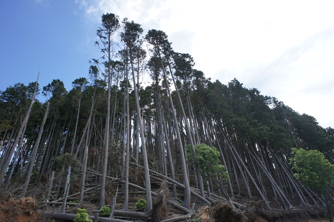 竜ヶ岳_サカサマ峠　No24