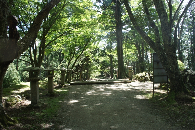 竜ヶ岳_サカサマ峠　No110