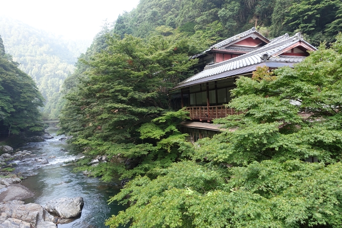 愛宕山_梨木谷林道　No10