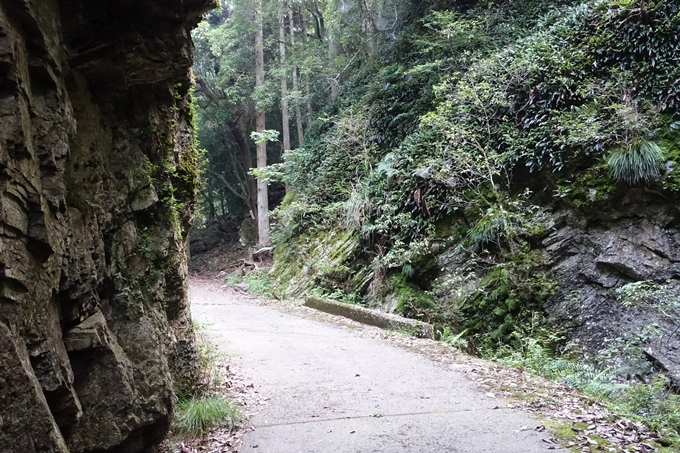 愛宕山_梨木谷林道　No25