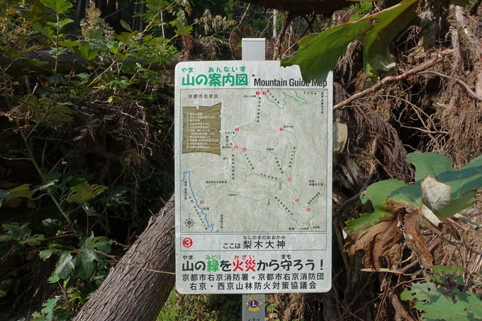 愛宕山_梨木谷林道　No54