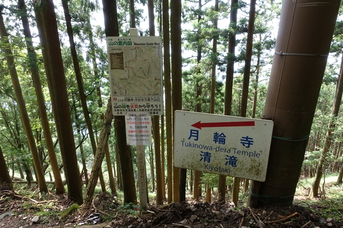 愛宕山_梨木谷林道　No109