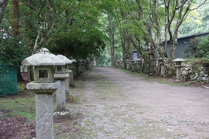 愛宕山_梨木谷林道　No115