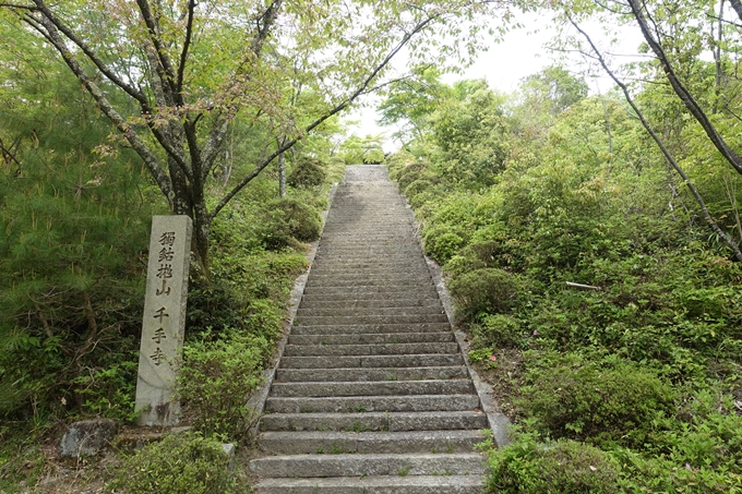 千手寺　No16