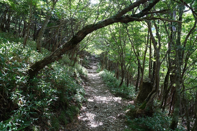 番外編_徳島県_剣山　No25