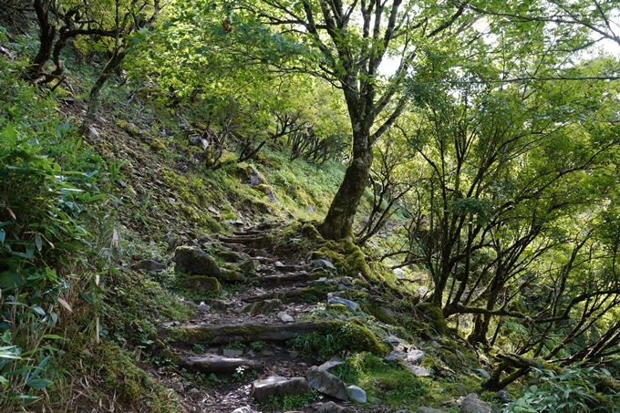 番外編_徳島県_剣山　No40