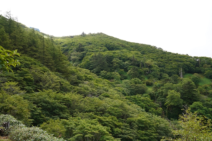 番外編_徳島県_剣山　No43