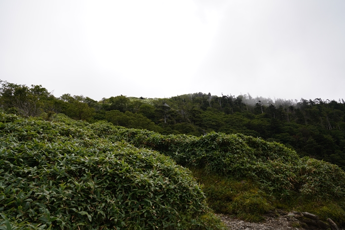 番外編_徳島県_剣山　No56