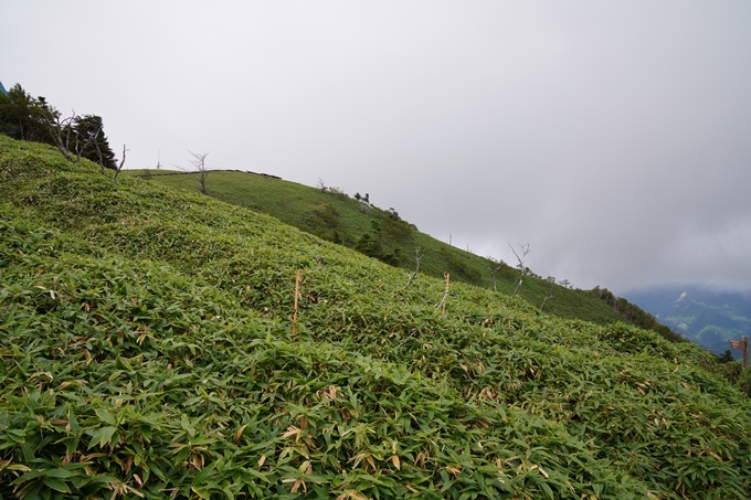 番外編_徳島県_剣山　No64