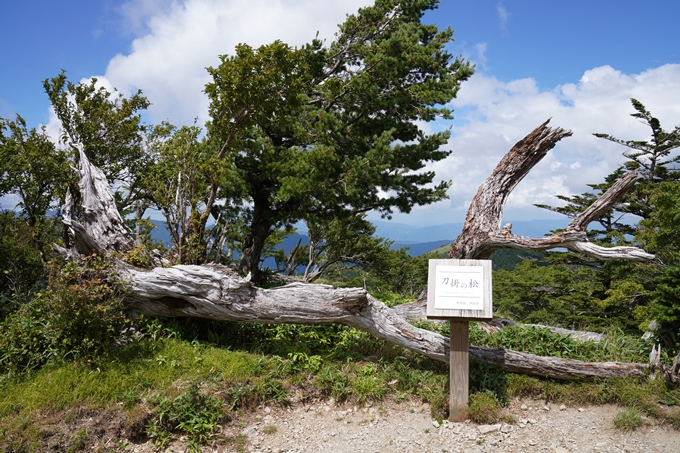 番外編_徳島県_剣山　No132