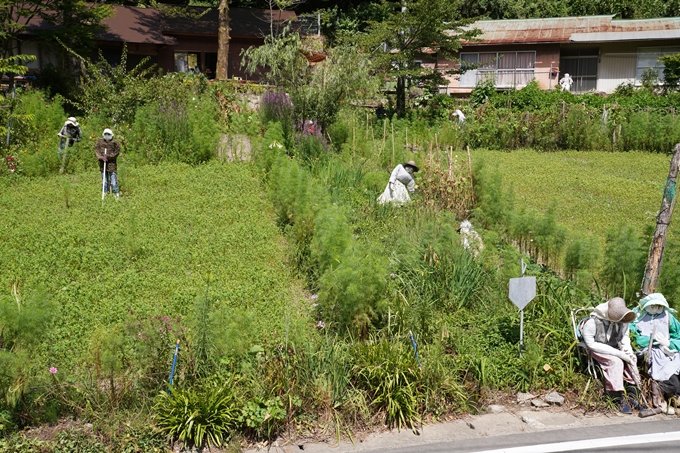 番外編_徳島県_祖谷　No3