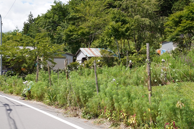 番外編_徳島県_祖谷　No7