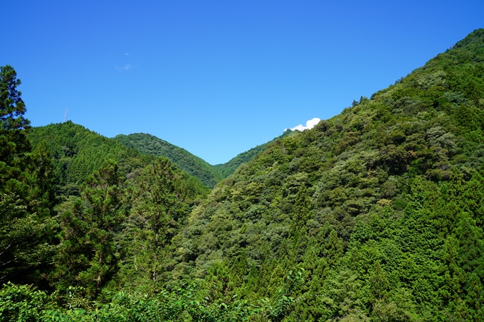 番外編_高知県_にこ淵・四国カルスト　No2