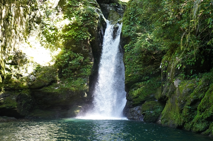 番外編_高知県_にこ淵・四国カルスト　No11