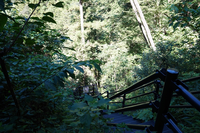 番外編_高知県_にこ淵・四国カルスト　No19