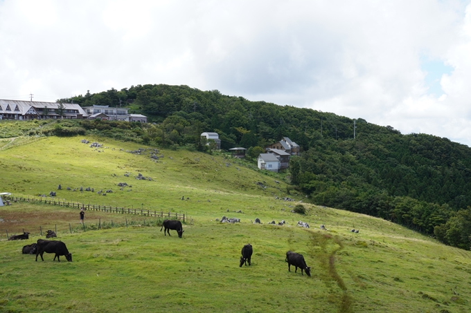 番外編_高知県_にこ淵・四国カルスト　No24