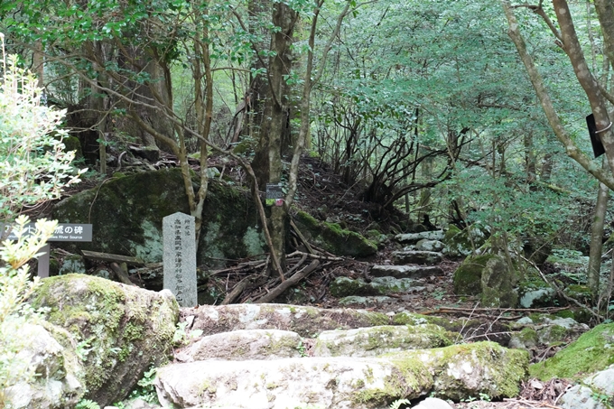 番外編_高知県_四万十川源流点　No5