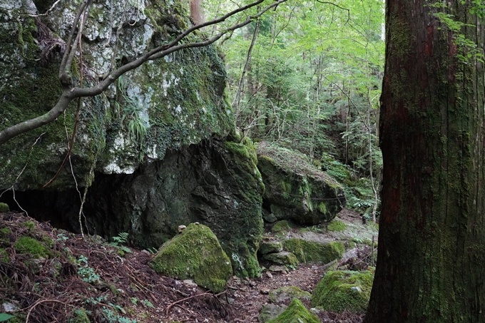 番外編_高知県_四万十川源流点　No23