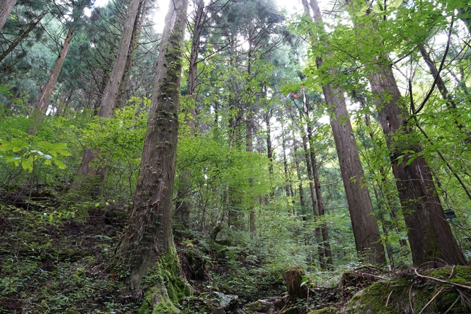 番外編_高知県_四万十川源流点　No36