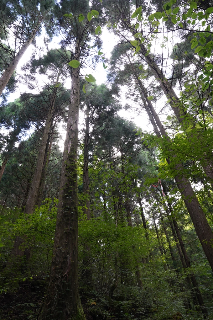 番外編_高知県_四万十川源流点　No37