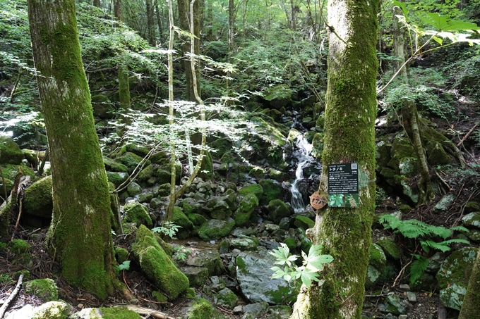 番外編_高知県_四万十川源流点　No39