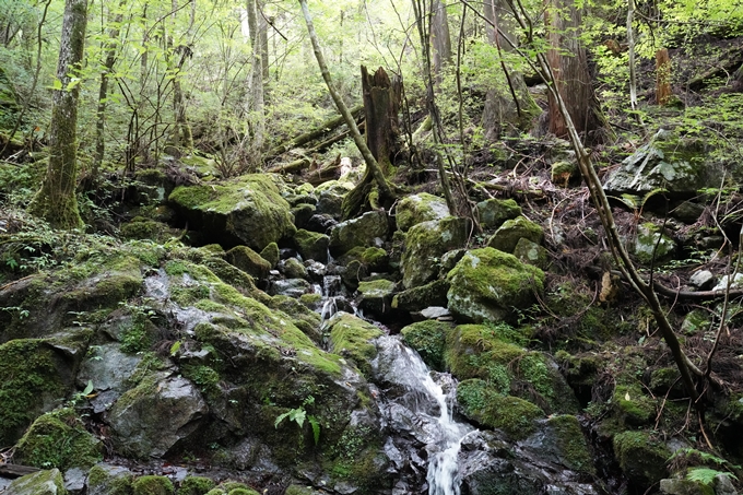 番外編_高知県_四万十川源流点　No43