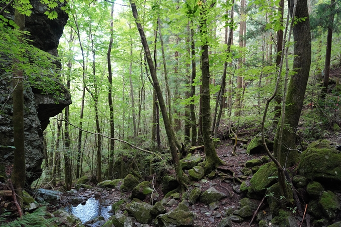 番外編_高知県_四万十川源流点　No52