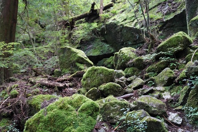 番外編_高知県_四万十川源流点　No61