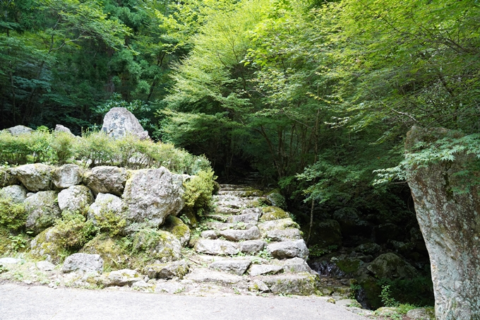 番外編_高知県_四万十川源流点　No63