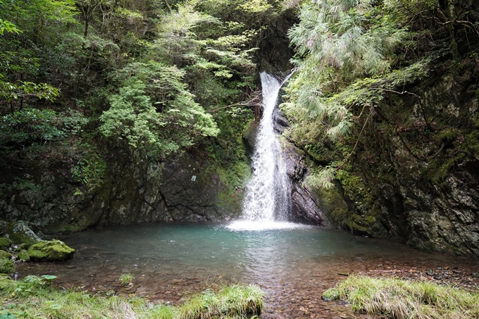 高知県_追合の滝　No6