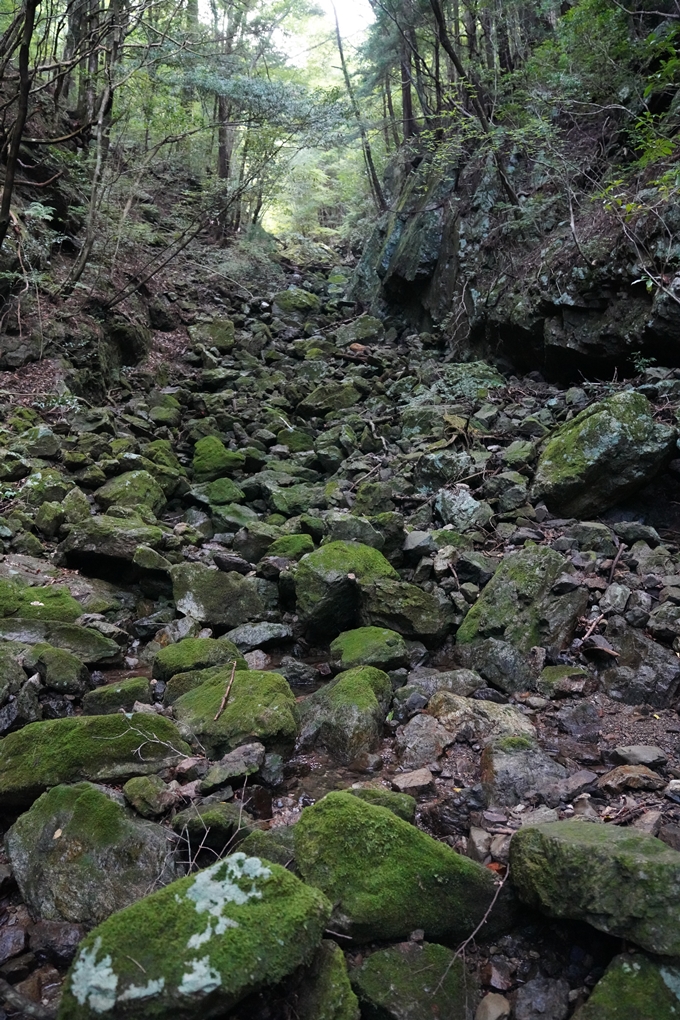 高知県_追合の滝　No13