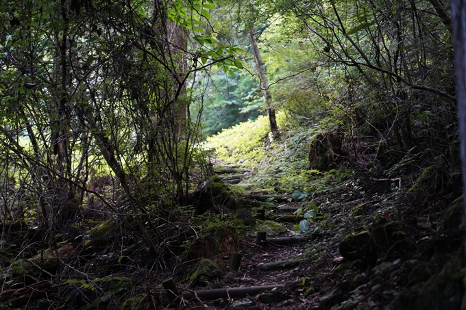 高知県_追合の滝　No14