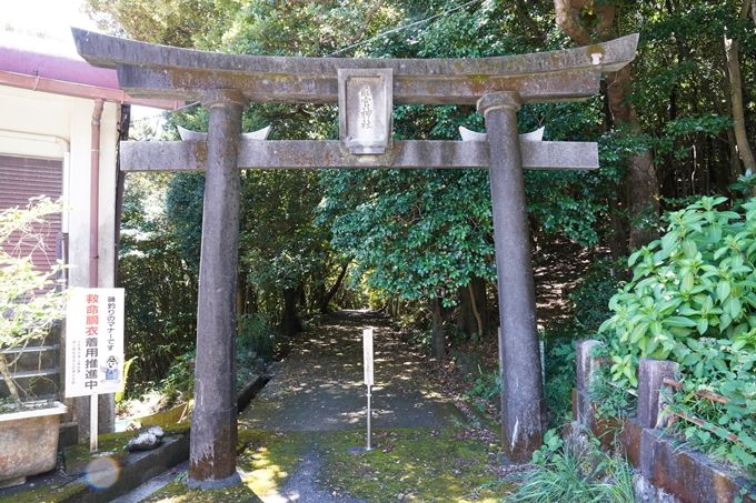 番外編_高知県_龍宮神社　No2