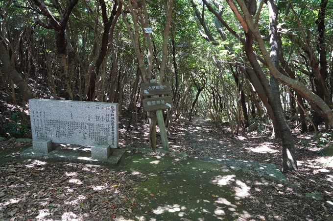 番外編_高知県_龍宮神社　No5