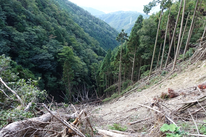 愛宕山_岩ヶ谷　No65